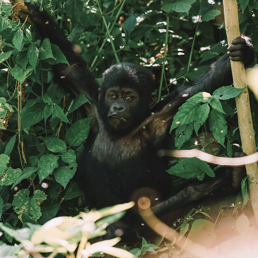 dia_3_uganda03