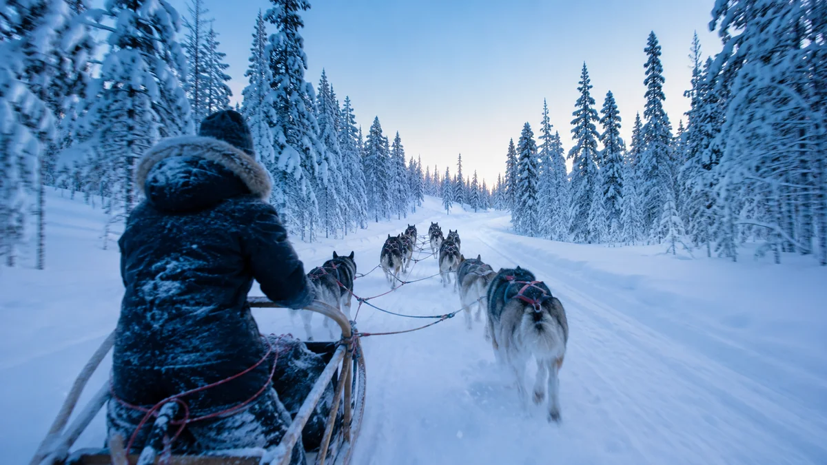Trineo de Huskys en Laponia