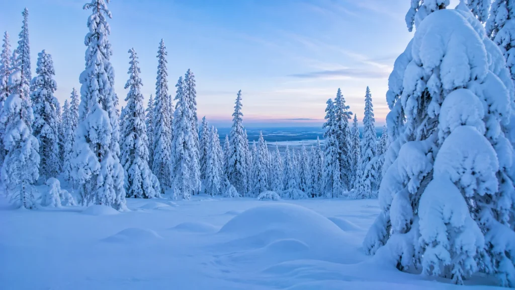 Bosque de Laponia nevado